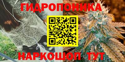 МДПВ Нарткала