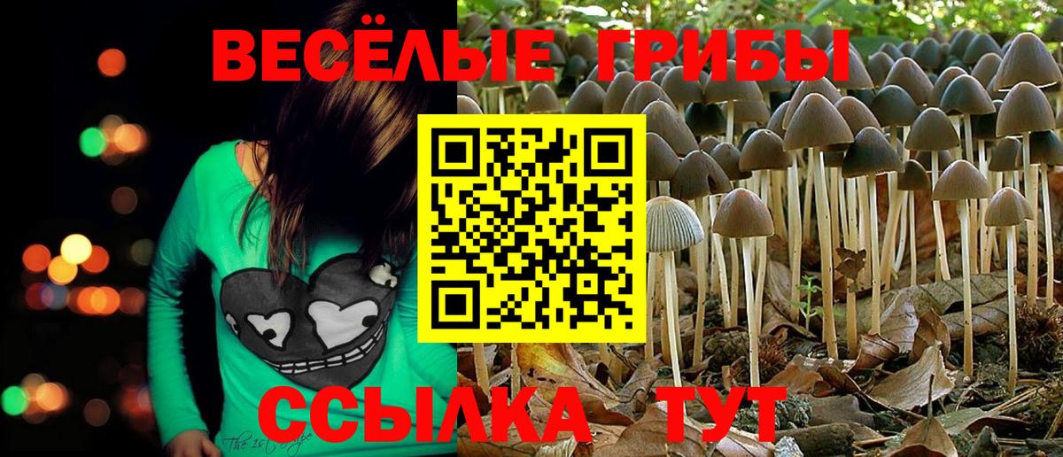 Псилоцибиновые грибы Psilocybine cubensis  Вход с VPN  Калининград  Псилоцибиновые грибы мухоморы 